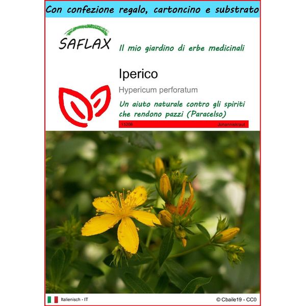 Saflax Set Regalo - Iperico - 300 Semi - Hypericum-image