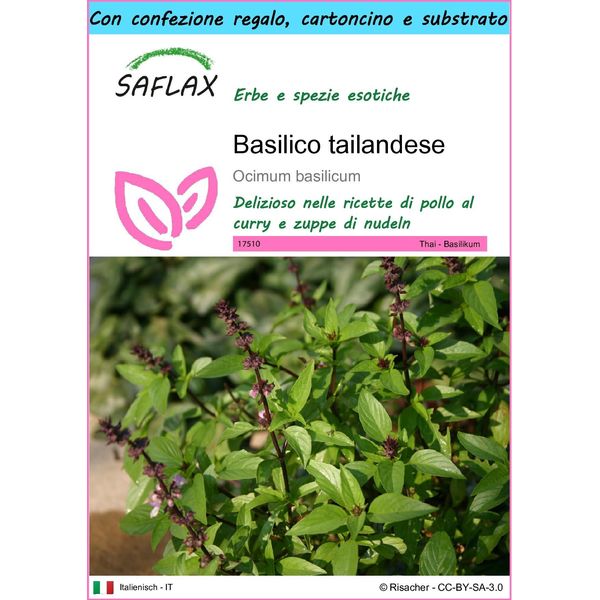 Saflax Set Regalo - Basilico Tailandese - 200 Semi - Ocimum-image
