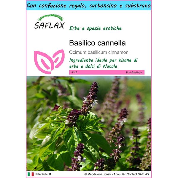 Saflax Set Regalo - Basilico Cannella - 200 Semi - Ocimum-image