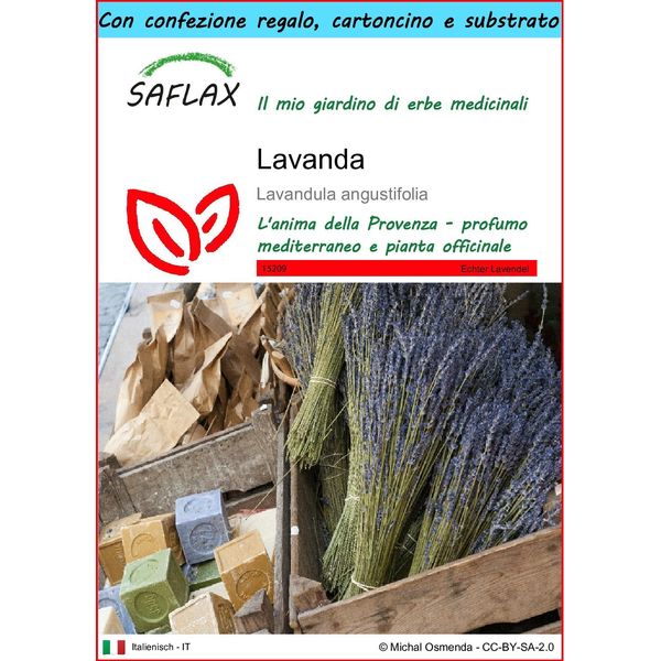 Saflax Set Regalo - Lavanda - 150 Semi - Lavandula-image