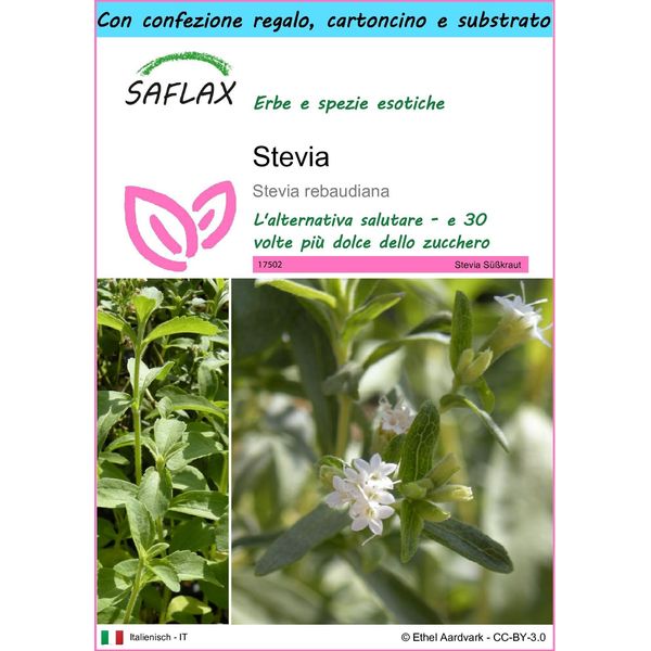 Saflax Set Regalo - Stevia - 100 Semi - Stevia-image