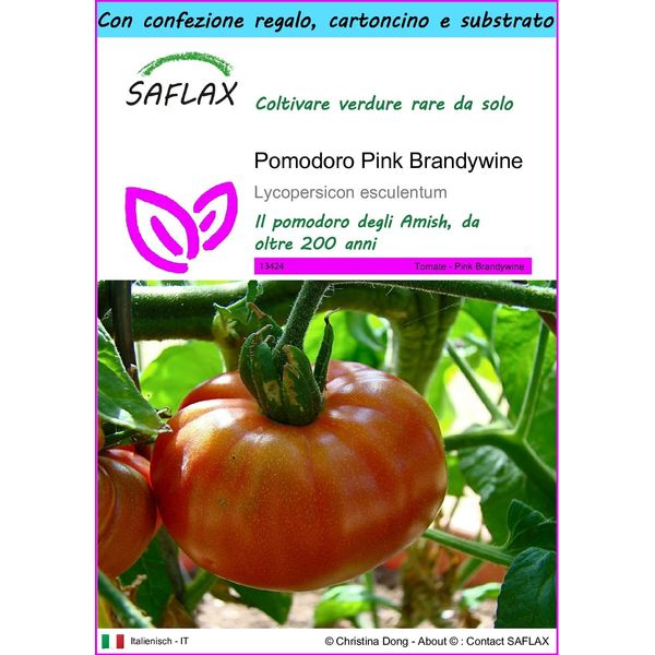 Saflax Set Regalo - Pomodoro Pink Brandywine - 10 Semi - Lycopersicon-image