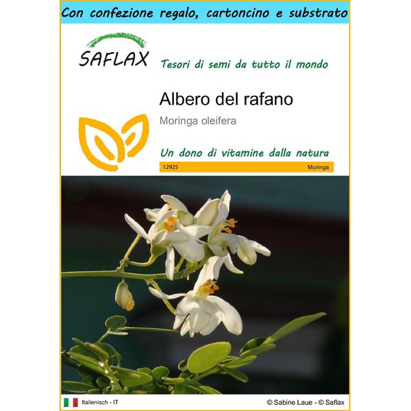 Saflax Set Regalo - Albero Del Rafano - 10 Semi - Moringa-image