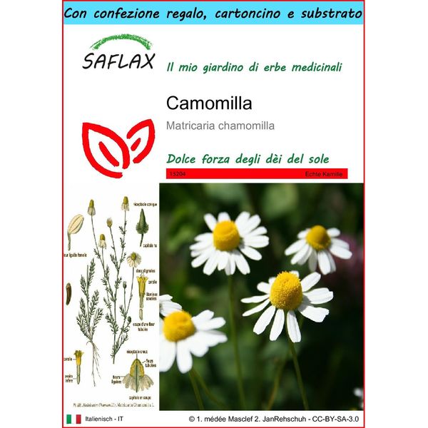 Saflax Set Regalo - Camomilla - 300 Semi - Matricaria-image