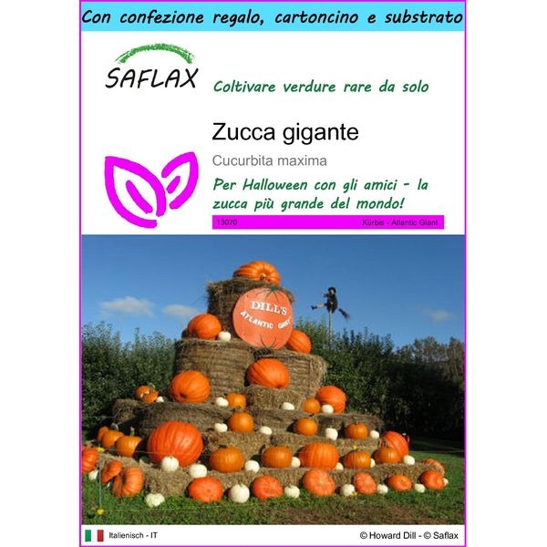 Saflax Set Regalo - Zucca Gigante - 7 Semi - Cucurbita-image