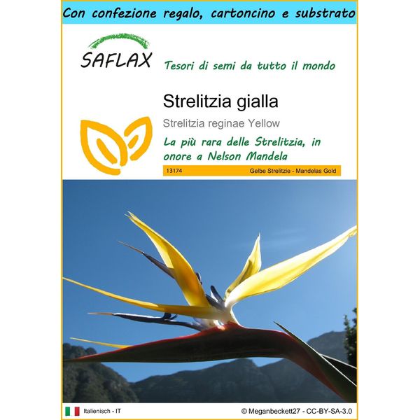 Saflax Set Regalo - Strelitzia Gialla - 4 Semi - Strelitzia-image