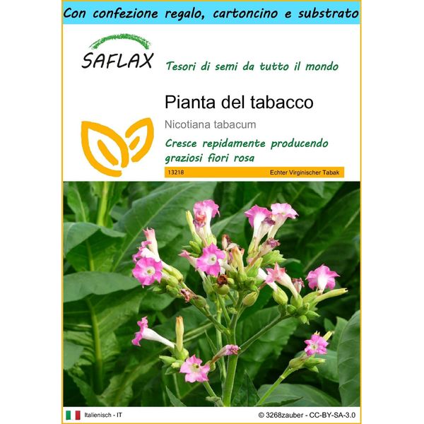 Saflax Set Regalo - Pianta Del Tabacco - 250 Semi - Nicotiana-image