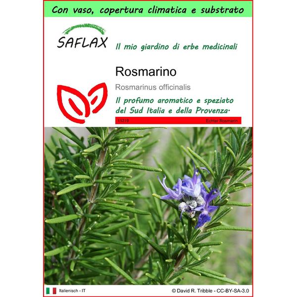 Saflax Garden To Go - Rosmarino - 100 Semi - Rosmarinus-image