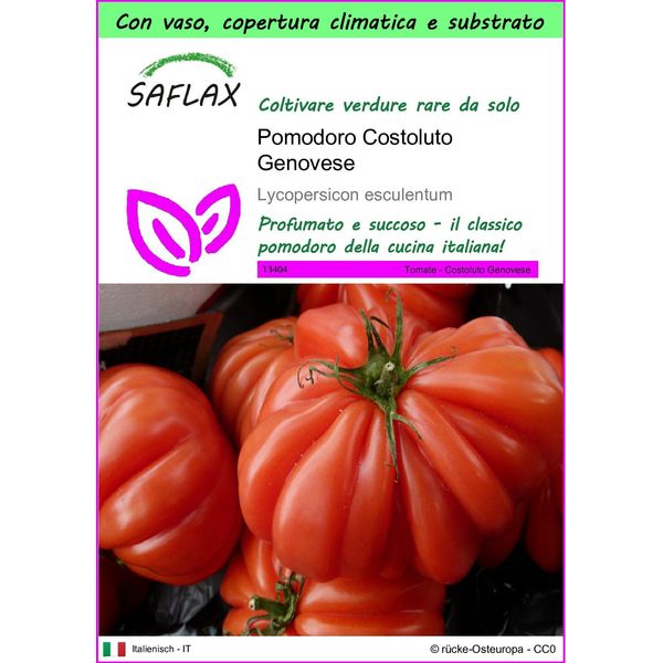 Saflax Garden To Go - Pomodoro Costoluto Genovese - 10 Semi - Lycopersicon-image
