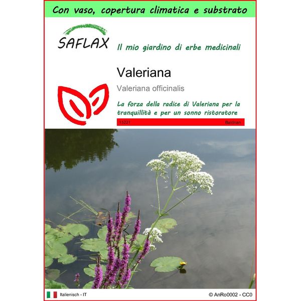 Saflax Garden To Go - Valeriana - 200 Semi - Valeriana-image