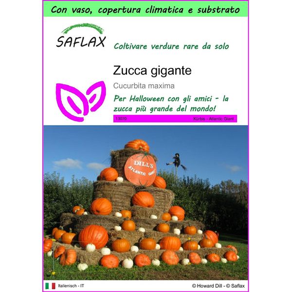 Saflax Garden To Go - Zucca Gigante - 7 Semi - Cucurbita-image