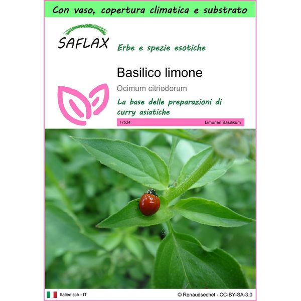 Saflax Garden To Go - Basilico Limone - 200 Semi - Ocimum-image