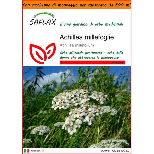 Saflax Garden In The Bag - Achillea Millefoglie - 200 Semi - Achillea-image