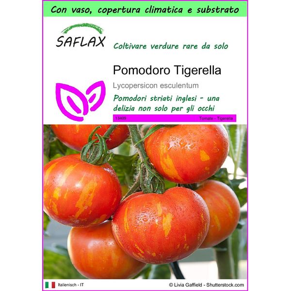 Saflax Garden To Go - Pomodoro Tigerella - 10 Semi - Lycopersicon-image