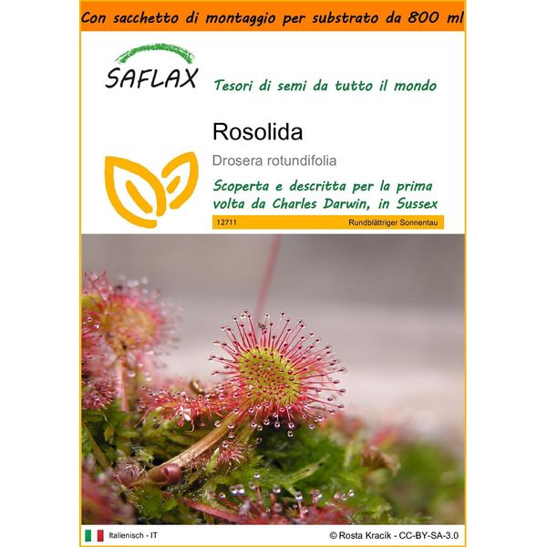 Saflax Garden In The Bag - Rosolida - 50 Semi - Drosera-image