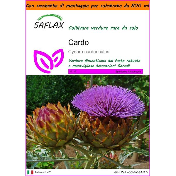 Saflax Garden In The Bag - Cardo - 50 Semi - Cynara-image