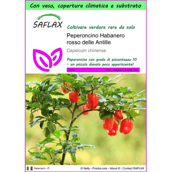 Saflax Garden To Go - Peperoncino Habanero Rosso Delle Antille - 10 Semi - Capsicum-image