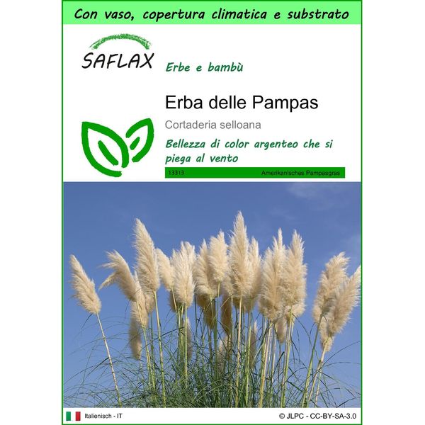 Saflax Garden To Go - Erba Delle Pampas - 200 Semi - Cortaderia-image