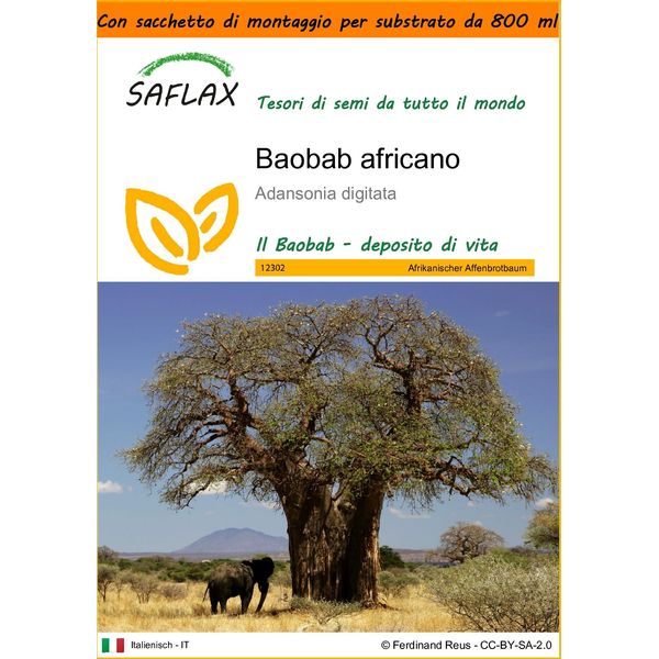 Saflax Garden In The Bag - Baobab Africano - 6 Semi - Adansonia-image
