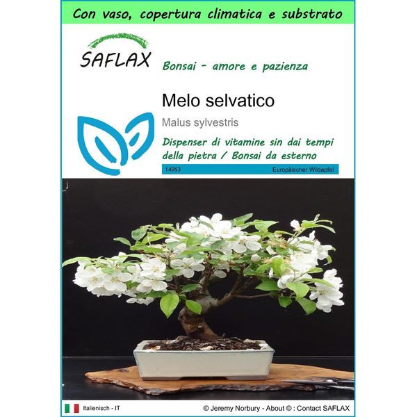 Saflax Garden To Go - Melo Selvatico - 30 Semi - Malus-image