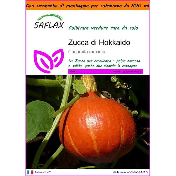 Saflax Garden In The Bag - Zucca Di Hokkaido - 10 Semi - Cucurbita-image