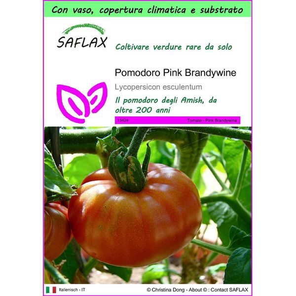 Saflax Garden To Go - Pomodoro Pink Brandywine - 10 Semi - Lycopersicon-image