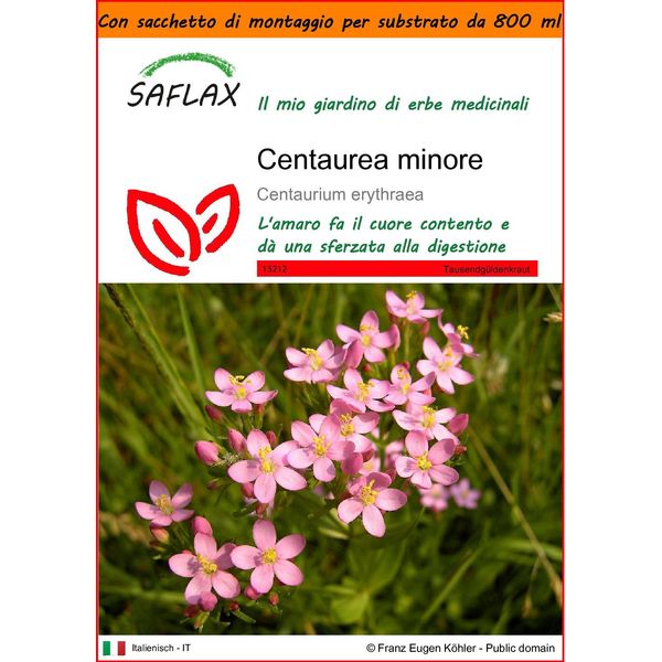 Saflax Garden In The Bag - Centaurea Minore - 250 Semi - Centaurium-image