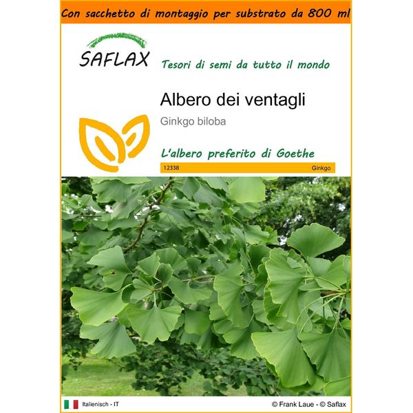 Saflax Garden In The Bag - Albero Dei Ventagli - 4 Semi - Ginkgo-image