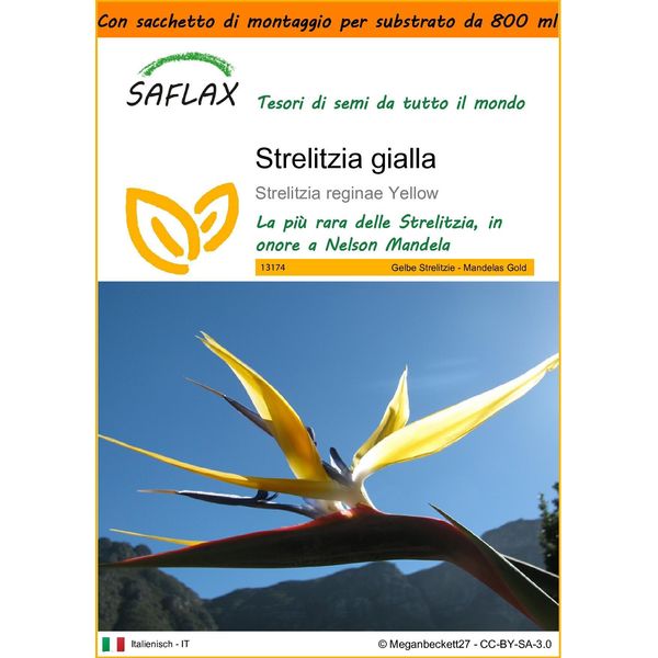 Saflax Garden In The Bag - Strelitzia Gialla - 4 Semi - Strelitzia-image