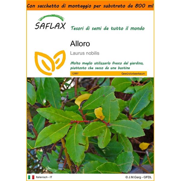 Saflax Garden In The Bag - Alloro - 6 Semi - Laurus-image