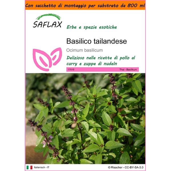 Saflax Garden In The Bag - Basilico Tailandese - 200 Semi - Ocimum-image