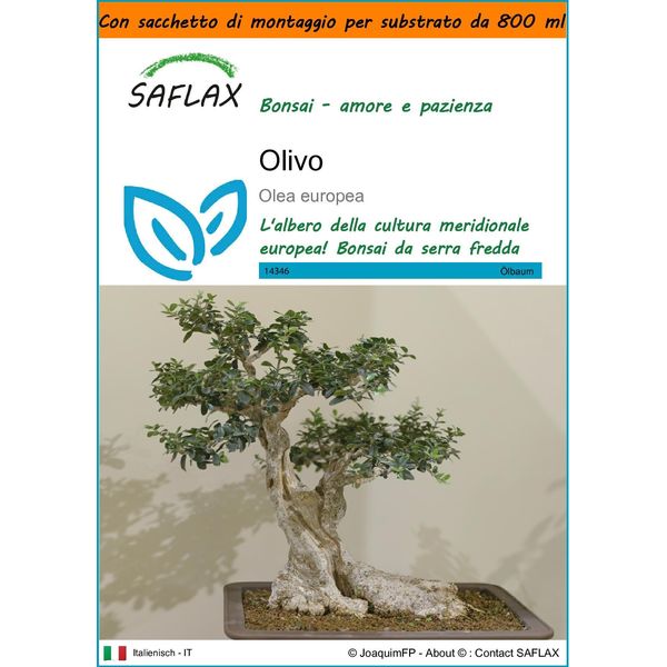 Saflax Garden In The Bag - Olivo - 20 Semi - Olea-image