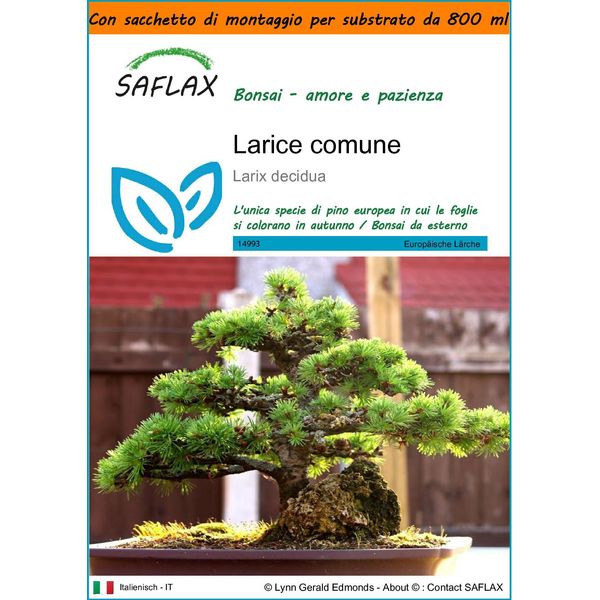 Saflax Garden In The Bag - Larice Comune - 75 Semi - Larix-image