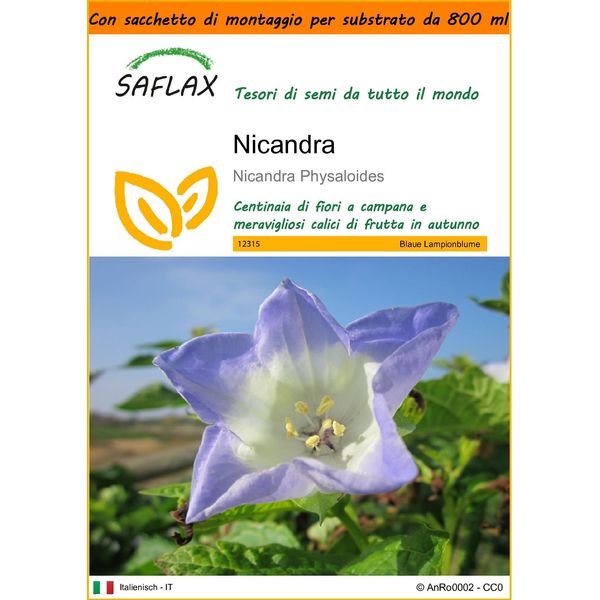 Saflax Garden In The Bag - Nicandra - 100 Semi - Nicandra-image
