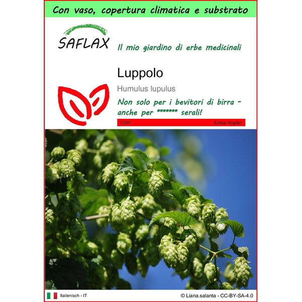 Saflax Garden To Go - Luppolo - 50 Semi - Humulus-image