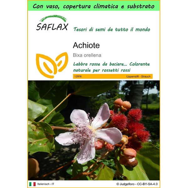 Saflax Garden To Go - Achiote - 20 Semi - Bixa-image