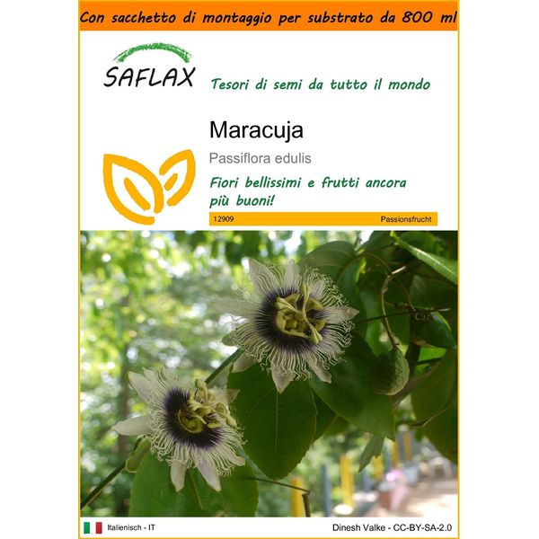Saflax Garden In The Bag - Maracuja - 40 Semi - Passiflora-image