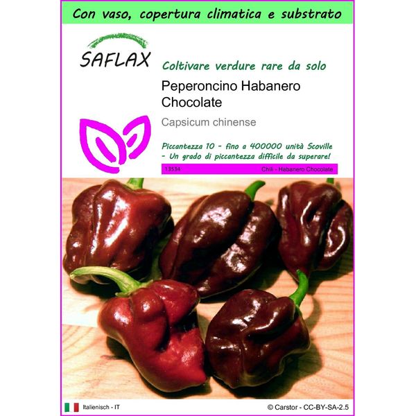 Saflax Garden To Go - Peperoncino Habanero Chocolate - 10 Semi - Capsicum-image