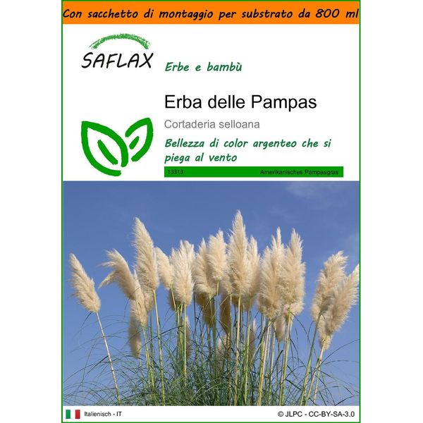 Saflax Garden In The Bag - Erba Delle Pampas - 200 Semi - Cortaderia-image