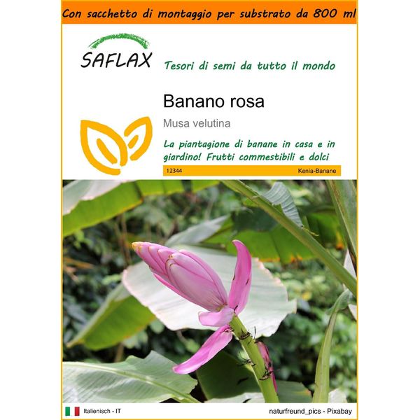 Saflax Garden In The Bag - Banano Rosa - 8 Semi - Musa-image