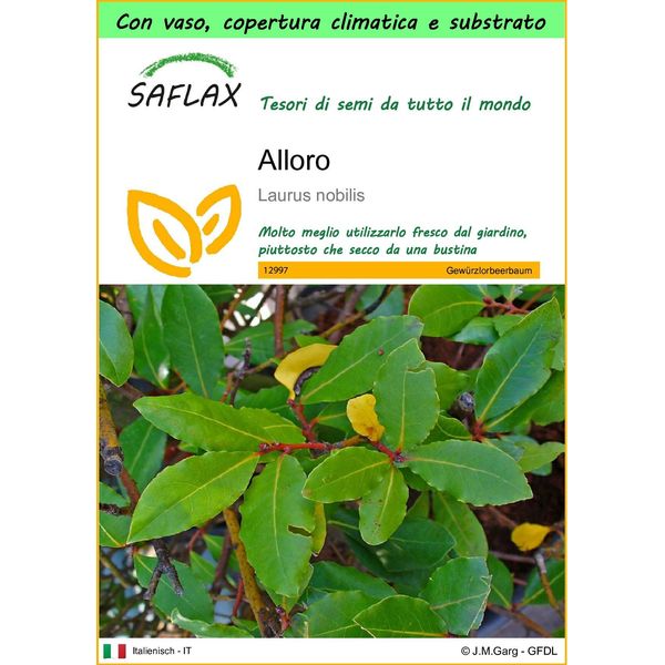 Saflax Garden To Go - Alloro - 6 Semi - Laurus-image