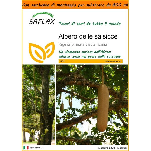 Saflax Garden In The Bag - Albero Delle Salsicce - 10 Semi - Kigelia-image