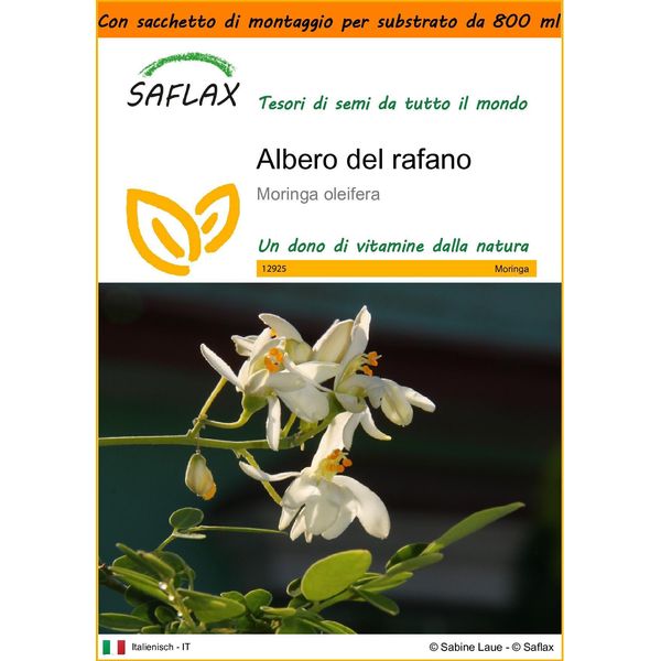 Saflax Garden In The Bag - Albero Del Rafano - 10 Semi - Moringa-image