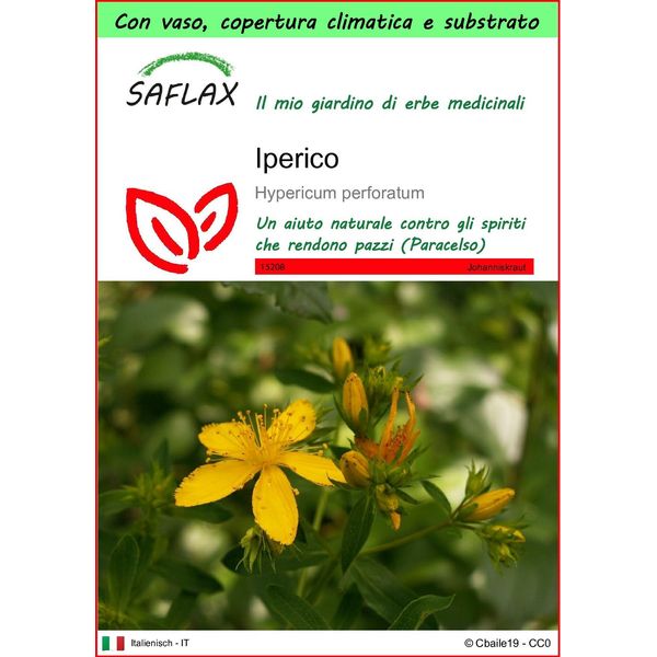 Saflax Garden To Go - Iperico - 300 Semi - Hypericum-image