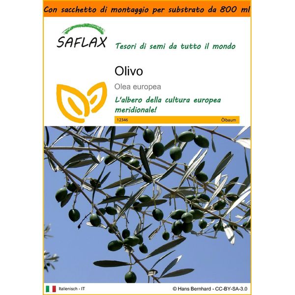 Saflax Garden In The Bag - Olivo - 20 Semi - Olea-image