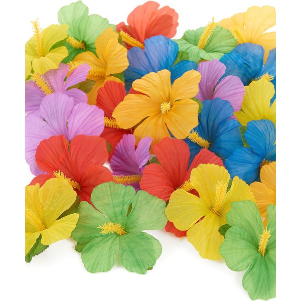 24 Foglie Di Fiori Di Ibisco-image