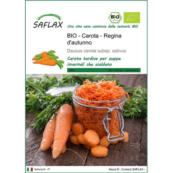 Saflax -- Carota - Regina D'autunno - 1000 Semi - Daucus-image