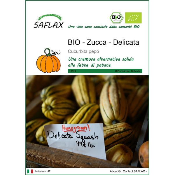 Saflax -- Zucca - Delicata - 6 Semi - Cucurbita-image