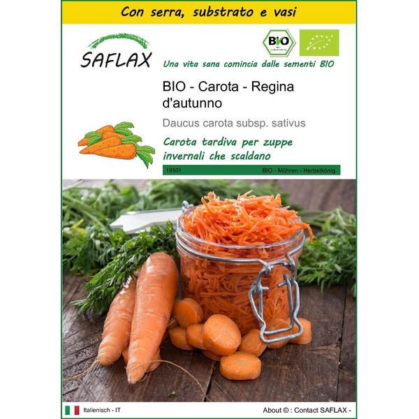 Saflax Insieme Di Coltivazione -- Carota - Regina D'autunno - 1000 Semi - Daucus-image