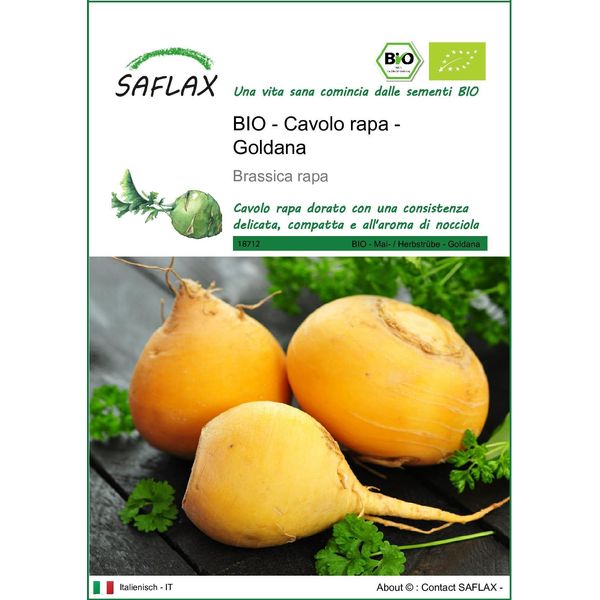 Saflax -- Cavolo Rapa - Goldana - 500 Semi - Brassica-image